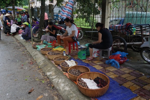 Hạt dẻ bán tại chợ Thị trấn huyện Trùng Khánh. Ảnh: Mác Kham. Nguồn: Báo baocaobang.vn