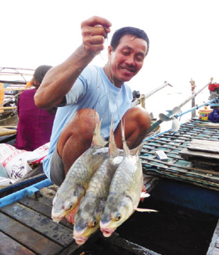 Một ngư phủ với 3 con cá Cóc vừa bắt được, hiện nay loài cá đặc sản này đang cực kỳ khan hiếm, đắt đỏ.