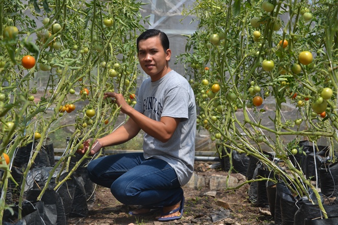 Anh Huỳnh Phú Lộc khởi nghiệp thành công với mô hình nông nghiệp công nghệ cao 