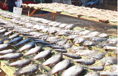 Sản phẩm cá khô của cơ sở Đức Phát đảm bảo sạch và an toàn.