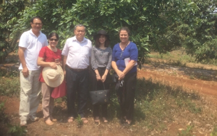 PGS.TS Nguyễn Minh Châu (đứng giữa) cùng nông dân và chuyên gia Úc tại một vườn bơ tại Đắk Nông.