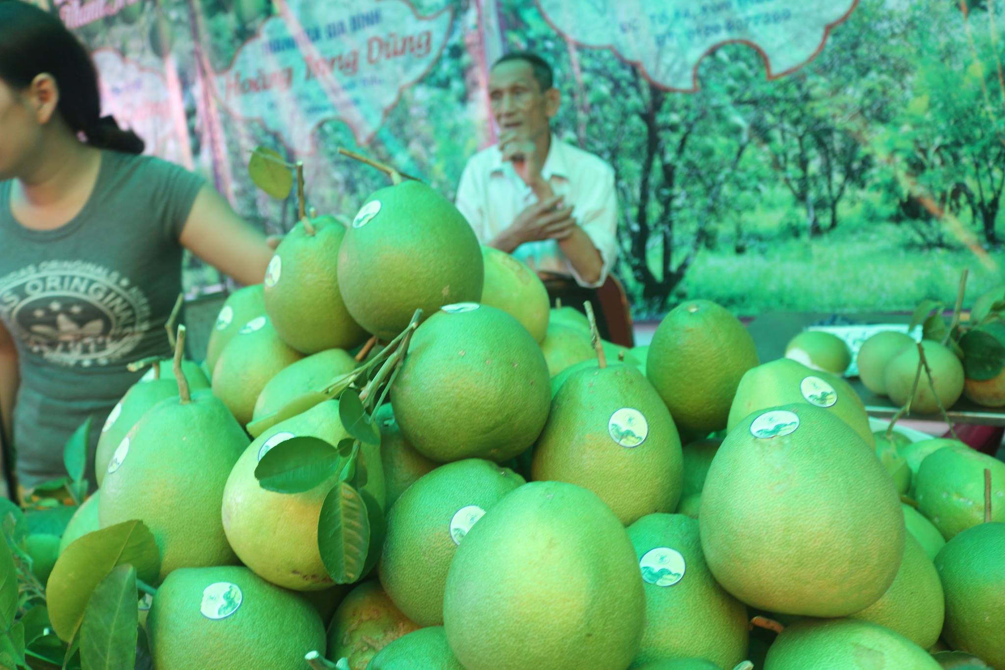 Thanh Trà là một trong những cây ăn quả đặc sản nổi tiếng, được trồng ở một số địa phương trong tỉnh Thừa Thiên - Huế.