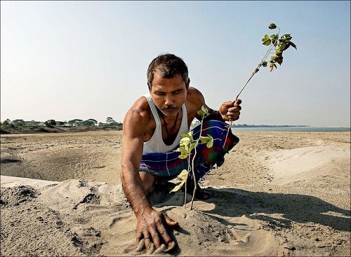 Jadav Payeng - người con của rừng Ấn Độ.