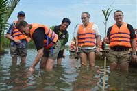 Du khách tham gia trồng dừa nước khi tham quan tại rừng dừa Bảy Mẫu (Nguồn: Văn hóa Online)