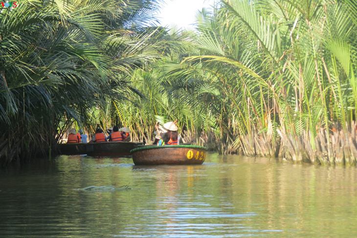  Những chiếc thuyền thúng được sử dụng trong tuyến du lịch rừng dừa Bảy Mẫu. (Nguồn: vovworld.vn)