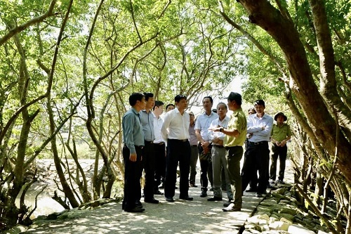 Bộ Trưởng Bộ NN&PTNT tham quan rừng cây ngập mặn Rú Chá