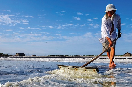 Làm muối là nghề truyền thống của người dân Lý Nhơn