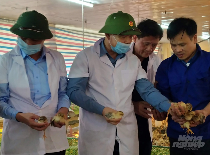 Bộ trưởng Nguyễn Xuân Cường kiểm tra giống gà tại Trại thực nghiệm của trường Trung cấp Nông nghiệp, huyện Gio Linh. Ảnh: Công Điền.