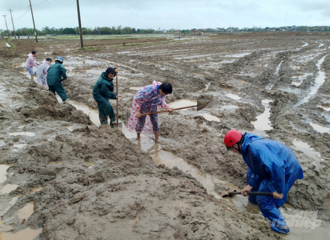 Trên 1.600ha đất sản xuất nông nghiệp ở tỉnh Quảng Trị bị bồi lấp sau mưa lũ. Ảnh: Công Điền. Trên 1.600ha đất sản xuất nông nghiệp ở tỉnh Quảng Trị bị bồi lấp sau mưa lũ. Ảnh: Công Điền.