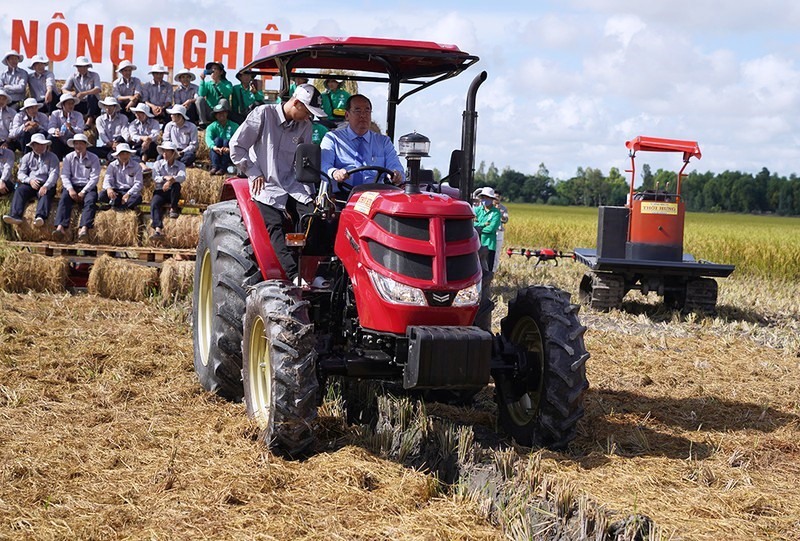 Những cánh đồng mẫu lớn nâng chất lượng và nâng tầm gạo Việt khi xuất khẩu ra thế giới. Ảnh: Lộc Trời.