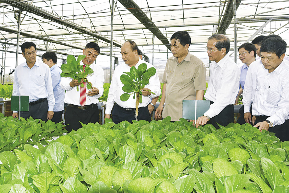 Thủ tướng Nguyễn Xuân Phúc thăm mô hình nông nghiệp công nghệ cao tại Lâm Đồng.