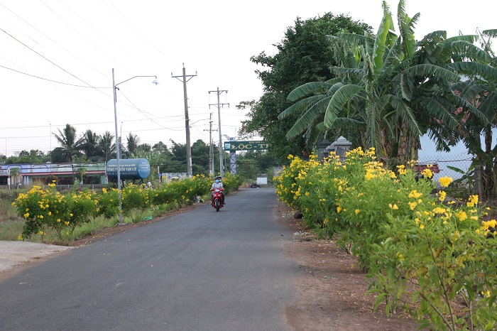 Con đường hoa tại xã nông thôn mới