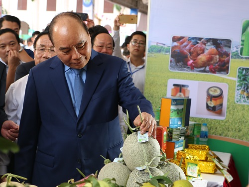 Thủ tướng Nguyễn Xuân Phúc tham quan các gian hàng trưng bày sản phẩm OCOP của các địa phương. Ảnh: Thuỳ Dung