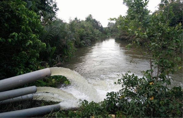 Nước ngọt mới chỉ đáp ứng một phần nhỏ nhu cầu tưới tiêu trong mùa hạn. Trong ảnh: Cống Rạch Đào, huyện Thủ Thừa.