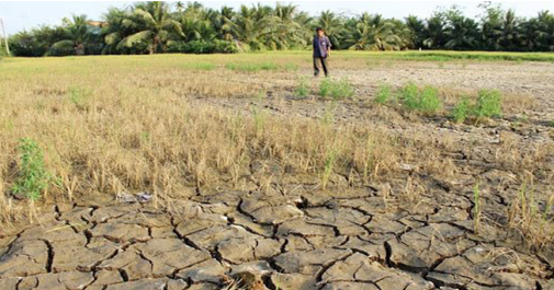 Mùa khô 2019 -2020, tình trạng hạn - mặn - kiệt ở ĐBSCL diễn ra rất nghiêm trọng.