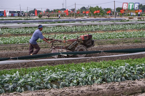 Nông dân xã Quỳnh Hải, Quỳnh Phụ ứng dụng công nghệ tiên tiến vào quá trình sản xuất trên cánh đồng mẫu hơn 150 ha.