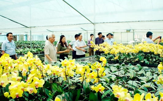 Lãnh đạo Sở Nông nghiệp và PTNT làm việc và thăm mô hình khu ứng dụng công nghệ cao trồng hoa lan tại Công ty cổ phần mía đường Lam Sơn. 
