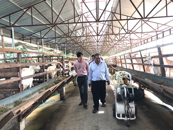 Các đại biểu tham quan điểm du lịch cộng đồng Cơ sở nuôi dê và chế biến sữa dê Ngọc Đào tại huyện Châu Thành A, tỉnh Hậu Giang.
