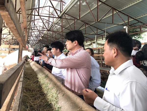 Ông Nguyễn Minh Tiến - Cục trưởng, Chánh Văn phòng Điều phối Nông thôn mới Trung ương (áo sọc) tìm hiểu quy trình nuôi dê lấy sữa tại trai nuôi dê Ngọc Đào.