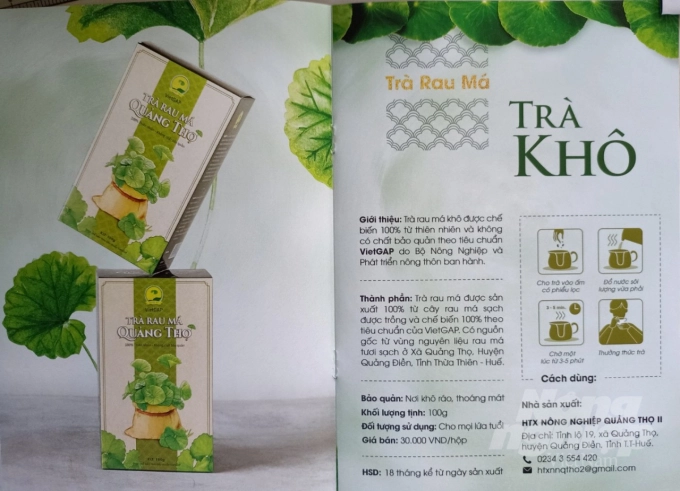 Sản phẩm Trà rau má của HTX Quảng Thọ 2 đã được tỉnh Thừa Thiên- Huế công nhận sản phẩm Ocop đạt chất lượng 4 sao năm 2002. Ảnh: Tiến Thành.