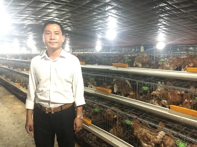 Anh Hòa tại trại gà đẻ trứng áp dụng công nghê cao của mình. (Nguồn: Báo Tiền Giang)