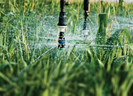 Hệ thống tưới phun nước ở High Plains, Texas. Ảnh: AgriLife Today