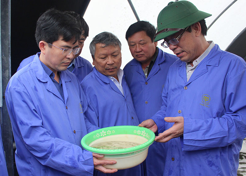 Đồng chí Chủ tịch UBND tỉnh Nguyễn Đức Chính thăm trại ươm nuôi tôm tại Công ty Cổ phần chăn nuôi C.P. Việt Nam chi nhánh Quảng Trị. (Nguồn: Báo Quảng Trị)