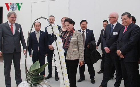 Chủ tịch Quốc hội tham quan mô hình trồng hoa tại Trung tâm Nông nghiệp công nghệ cao. Ảnh: VOV