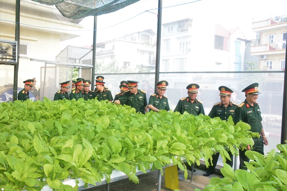 Đại biểu các đơn vị tham quan mô hình trồng rau cao cấp trong nhà màng của Kho 205.