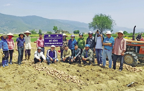 Các hộ nông dân tham gia mô hình trình diễn khoai tây giống mới TK15.80.