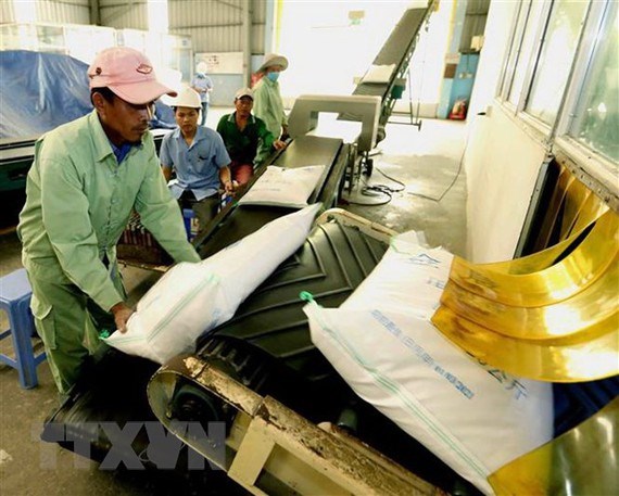 Đóng gói gạo xuất khẩu tại Công ty Lương thực An Giang. Ảnh minh họa: TTXVN