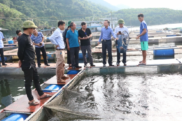 Các đại biểu tham quan mô hình nuôi cá lồng tại lòng hồ sông Đà trên địa phận xã Hòa Bình, TP Hòa Bình. Ảnh: HG.