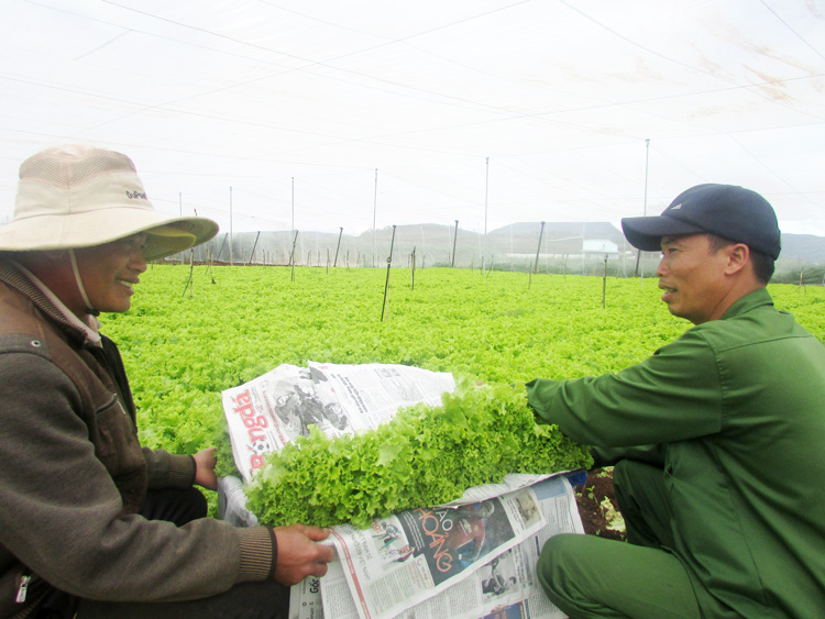 Đơn Dương phấn đấu đạt chuẩn huyện nông thôn mới kiểu mẫu về nông nghiệp công nghệ cao theo hướng thông minh trong 5 năm tới.