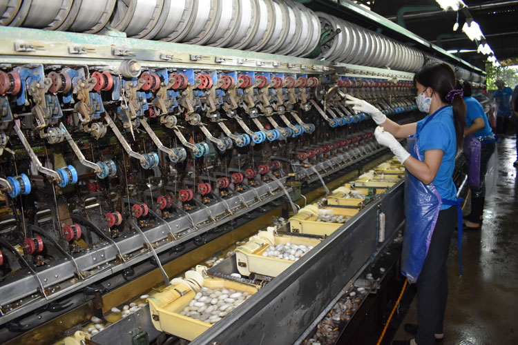 Công suất trung bình mỗi cơ sở ươm tơ ở Lâm Đồng chế biến 1 tấn kén/ngày.