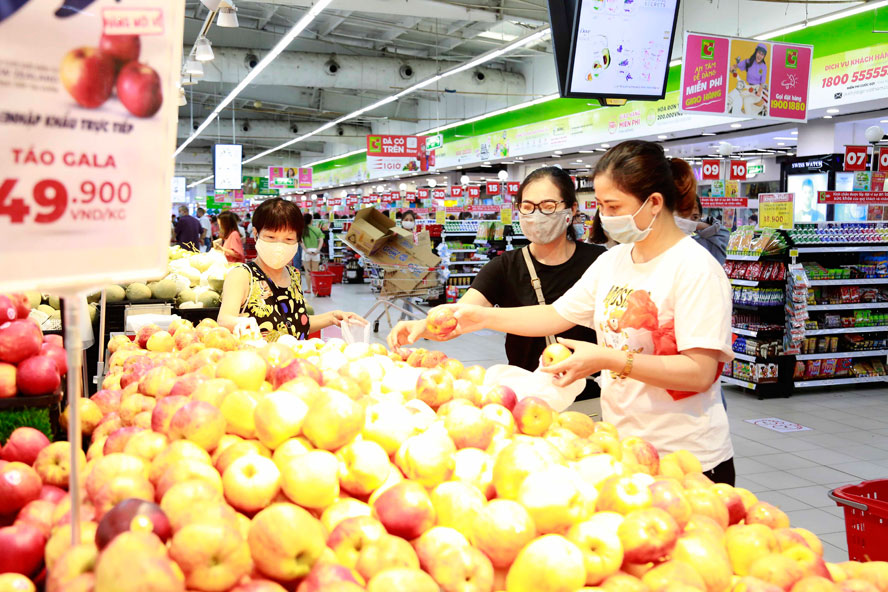 Người tiêu dùng dễ dàng mua trái cây nhập khẩu với nguồn gốc, xuất xứ rõ ràng khi các hiệp định thương mại thế hệ mới có hiệu lực. Trong ảnh: Khách hàng lựa chọn táo nhập khẩu tại siêu thị Big C Thăng Long (quận Cầu Giấy). Ảnh: Viết Thành.