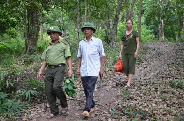 Tuần tra trong rừng dẻ. Ảnh: Dương Đình Tường.