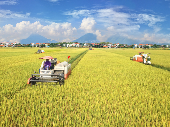 Cơ giới hóa thu hoạch lúa ở hợp tác xã Dịch vụ nông nghiệp Nhân Lý - huyện Bình Xuyên - tỉnh Vĩnh Phúc. Ảnh: Tự Cường.