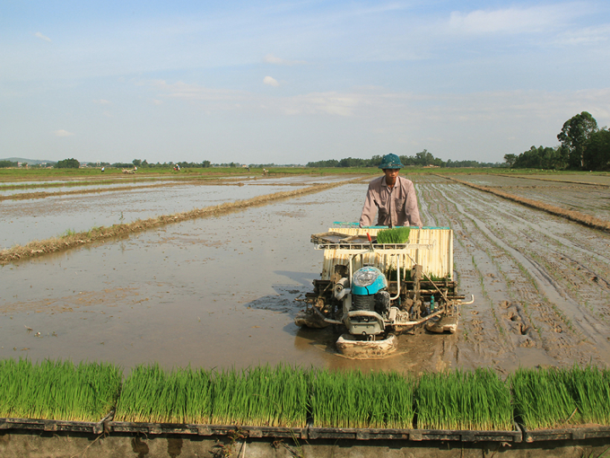Ứng dụng máy cấy lúa tại hợp tác xã Dịch vụ nông nghiệp Nhân Lý. Ảnh: Tự Cường.