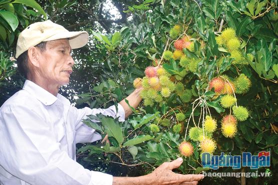 xay dung ntm: chuyen lam giau cua lao nong u70 hinh anh 1