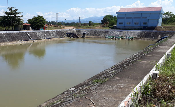 Nước sông nhiễm mặn khiến người dân TP Đà Nẵng thiếu nước sinh hoạt.