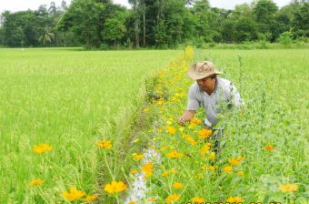 cong-nghe-sinh-thai.jpeg